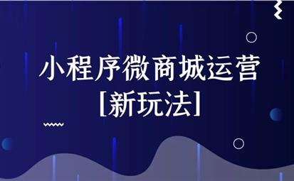 小程序微商城運(yùn)營[新玩法]_網(wǎng)站建設(shè)思樂科技